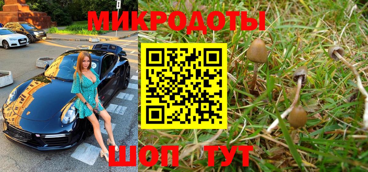 Михайловск  Галлюциногенные грибы MAGIC MUSHROOMS  закладки  Вход с VPN 
