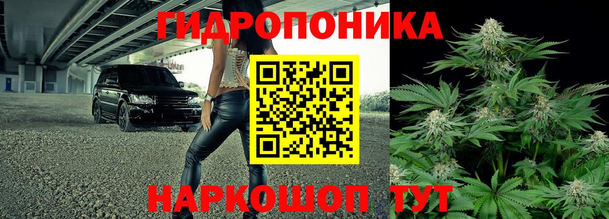 МАРИХУАНА тримм  Вход с VPN  Канабис VHQ  МАРИХУАНА планчик  Михайловск  Конопля конопля 